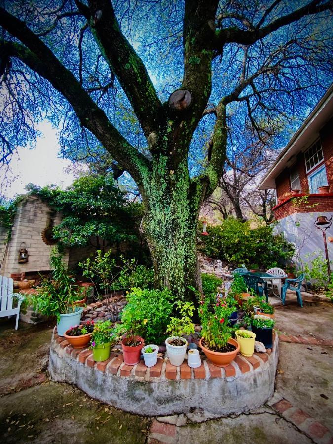 School House Inn Bed & Breakfast Бісбі Екстер'єр фото
